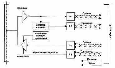 в основном соответствует экспериментальной сети